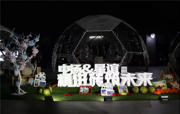 2018中扬&星谊战略合作高峰论坛圆满成功！