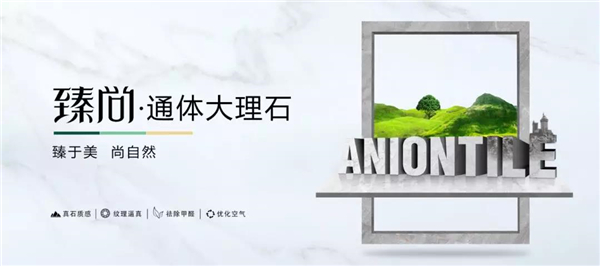 臻世界，臻石韵 | 让家更有档次！