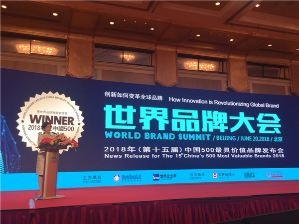 2018世界品牌大会“中国500最具价值品牌”发布 新明珠四品牌总价值近593亿！