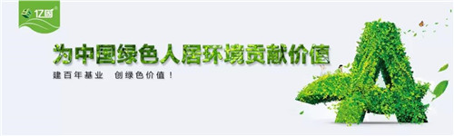 亿固304瓷缝宝——您身边的美缝专家