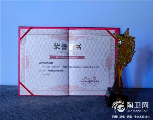最佳年度陶瓷大板证书.jpg