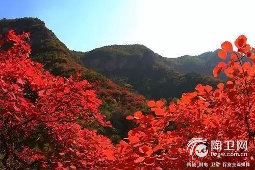 微信图片_20180517221215.jpg