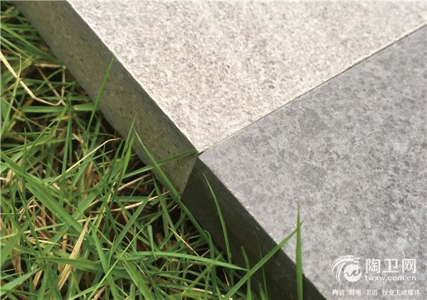 托托贝尼2cm瓷质通体砖.jpg
