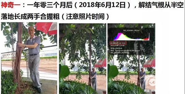 微信图片_20190105164918.jpg