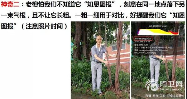 微信图片_20190105164920.jpg