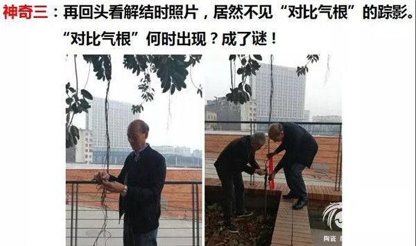 微信图片_20190105164922.jpg