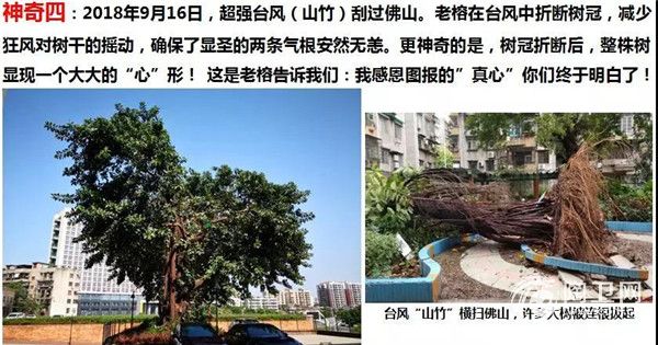 微信图片_20190105164925.jpg