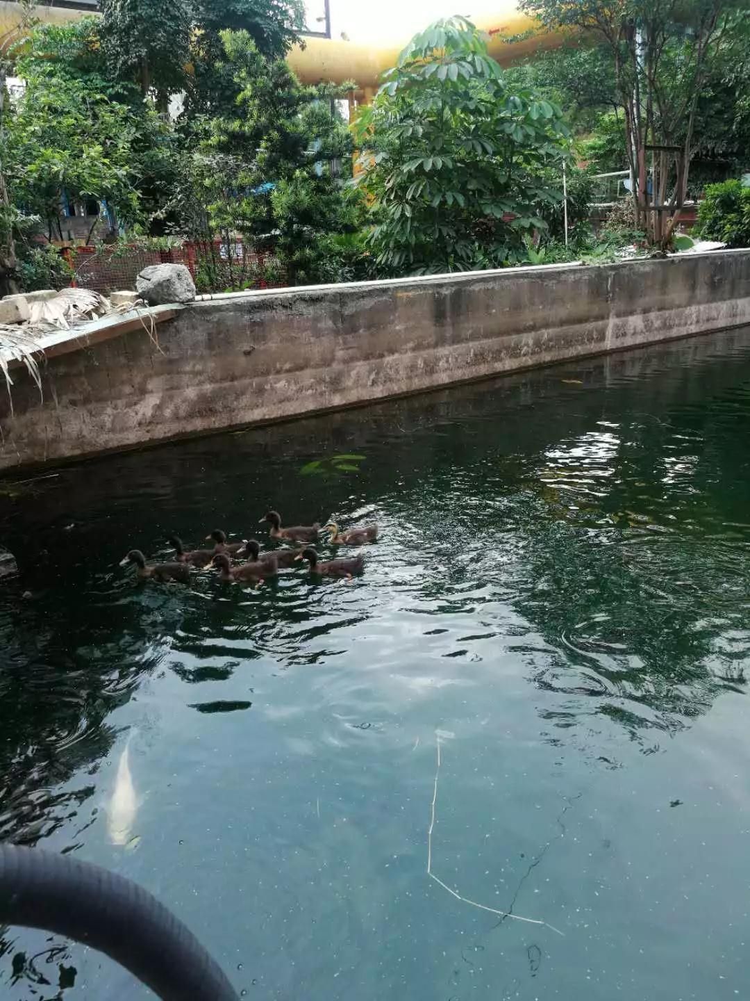 10环保高压下肇庆陶企生存实录.jpg
