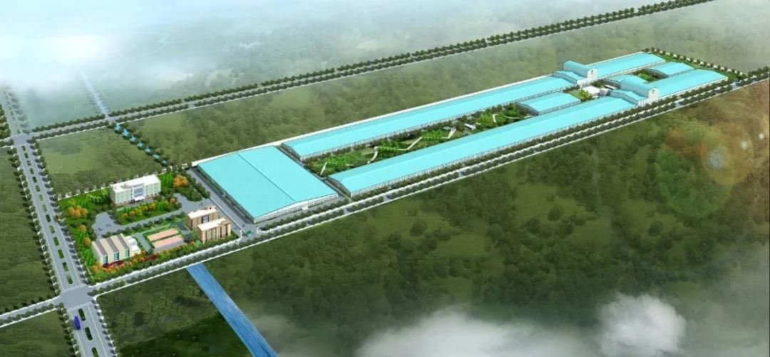 海鸥冠军建材（宿州）有限公司揭牌仪式成功举行6.jpg