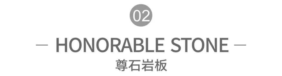 东鹏21.jpg