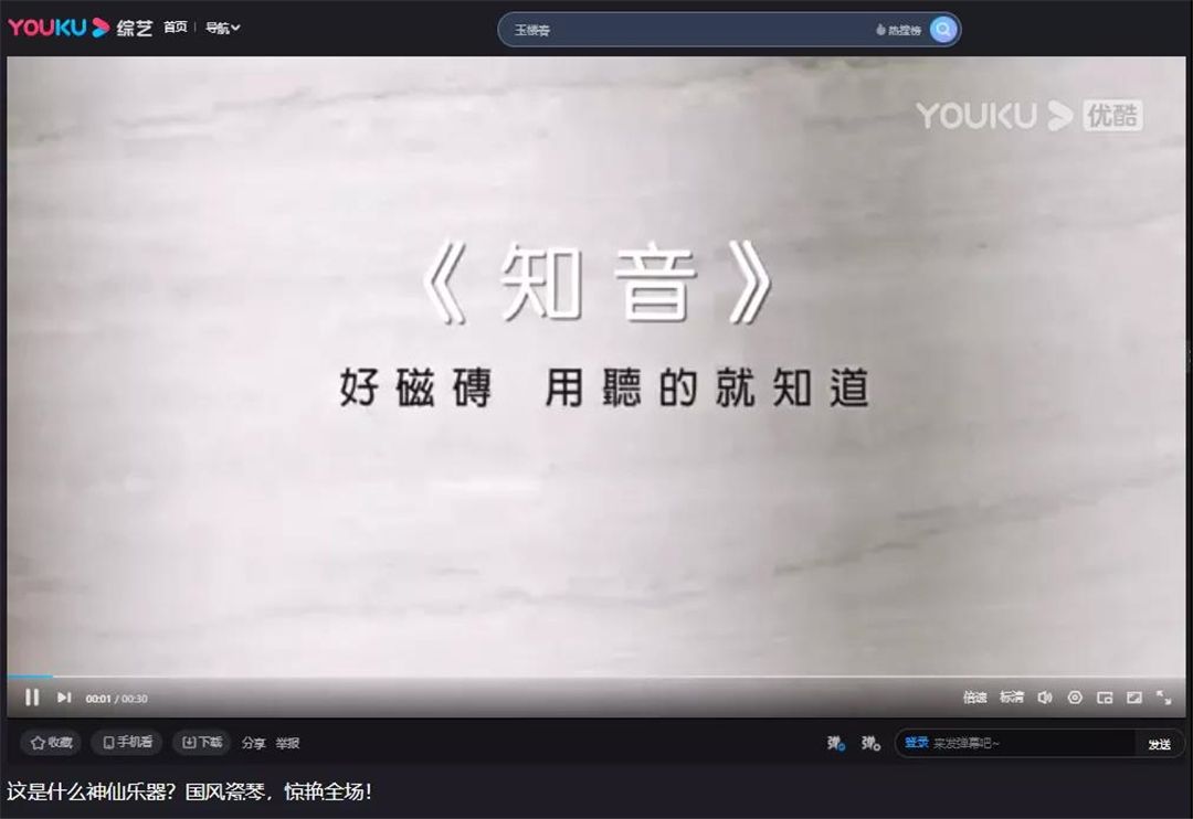 梅花网9.jpg