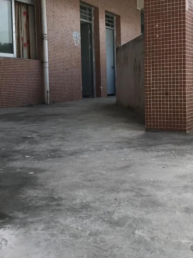 新明珠3.jpg