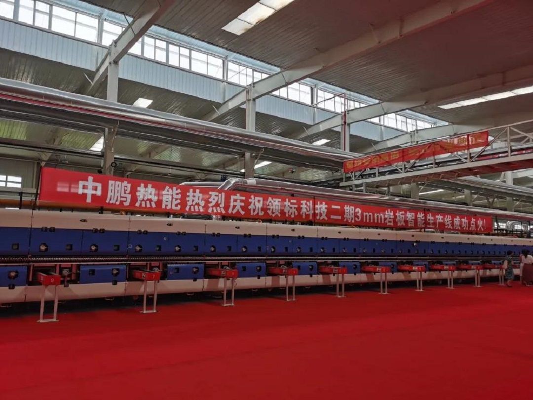 中鹏领标2.jpg