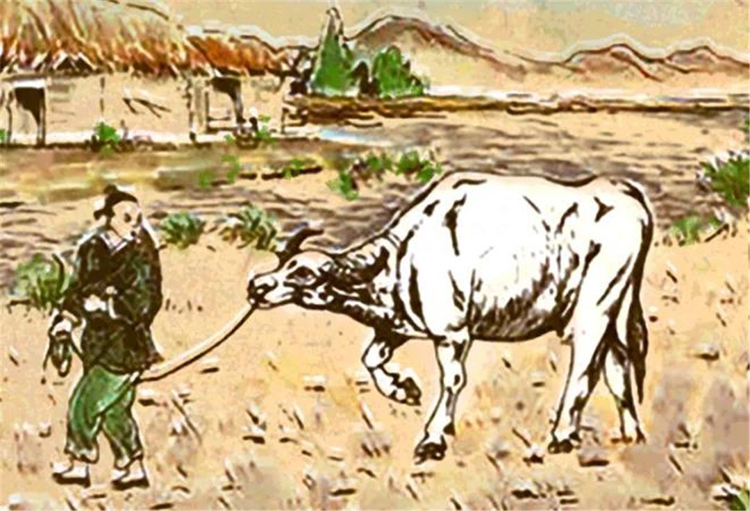 《镇牛井》壁画故事1.jpg