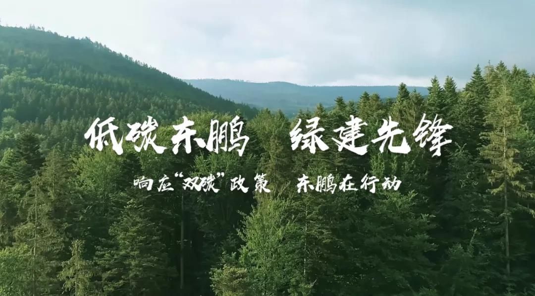 东鹏海报.jpg
