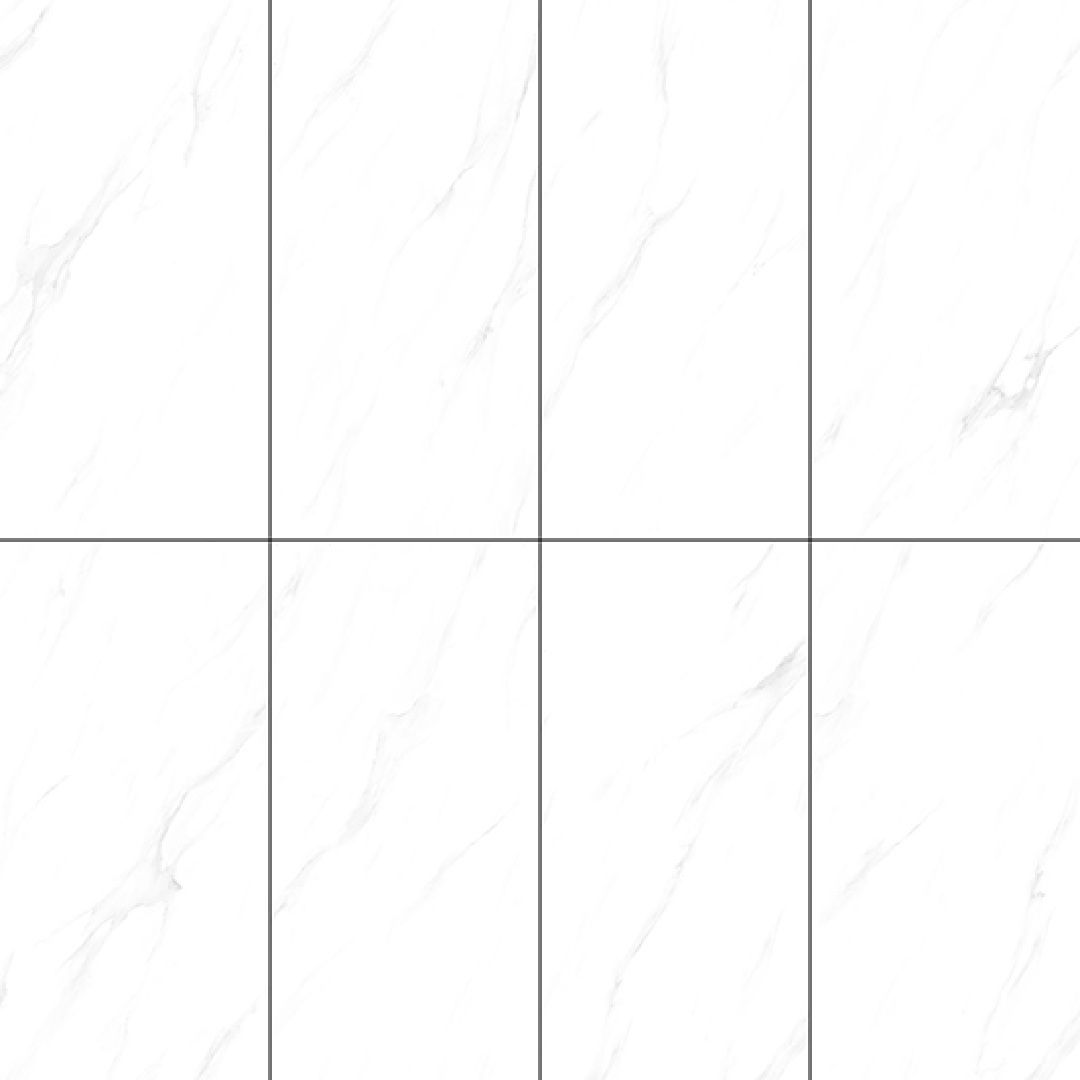 金朝阳3-2.jpg