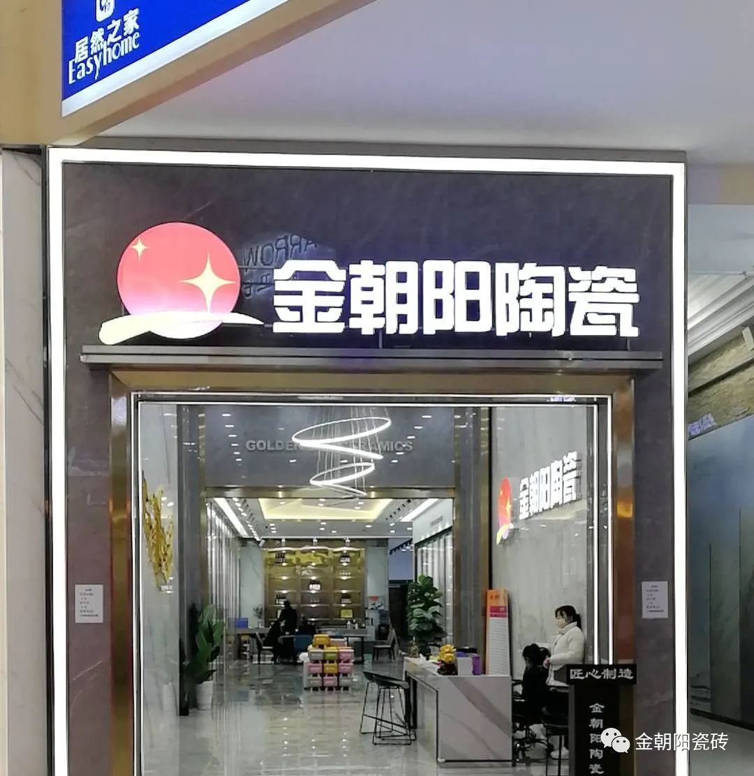 金朝阳2.jpg