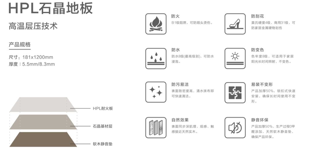 鹰牌2.jpg